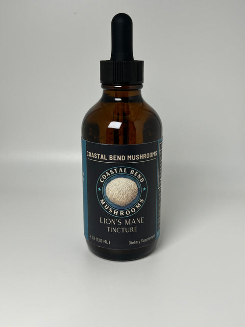 Lion's Mane Tincture